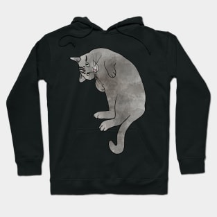 Grey Tabby Cat Hoodie